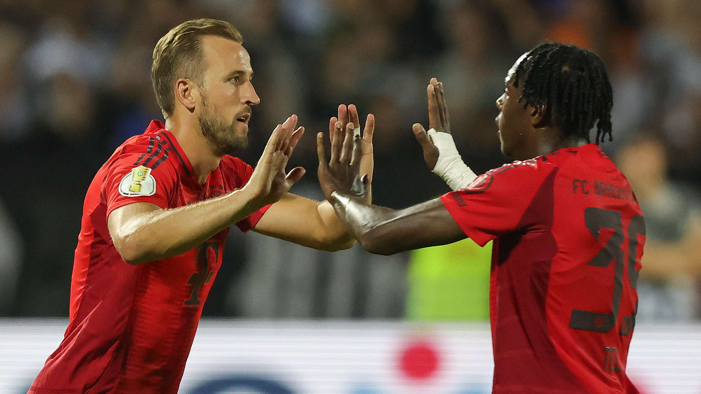 展示了国际 展示了国际