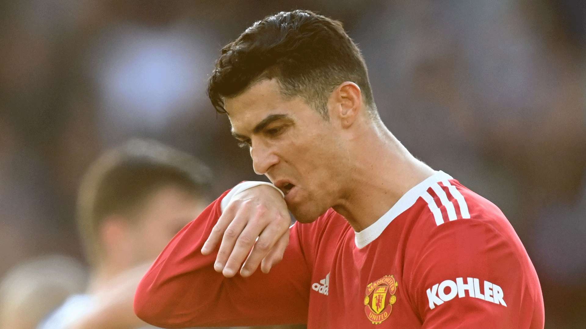 均显示出极 均显示出极